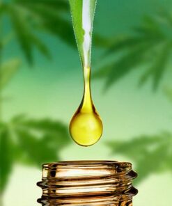 Oil