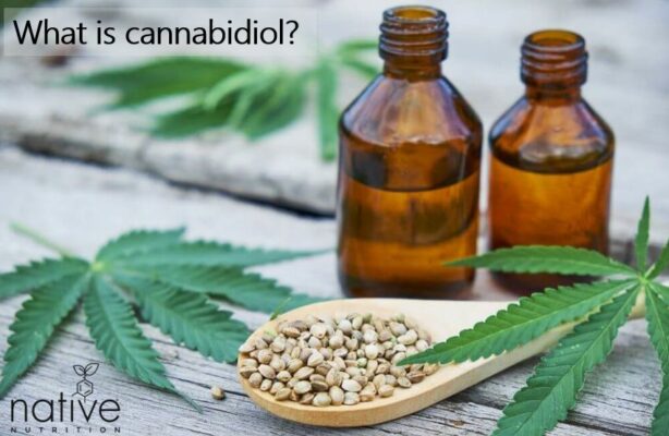 What is Cannabidiol - Native Nutrition